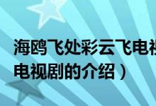 海鸥飞处彩云飞电视剧（关于海鸥飞处彩云飞电视剧的介绍）