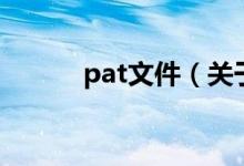 pat文件（关于pat文件的介绍）