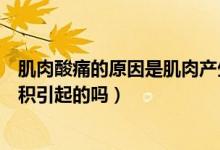 肌肉酸痛的原因是肌肉产生大量乳酸（肌肉酸痛是由乳酸堆积引起的吗）