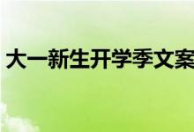 大一新生开学季文案短句（简短温柔的句子）