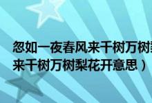 忽如一夜春风来千树万树梨花开的修辞手法（忽如一夜春风来千树万树梨花开意思）