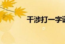 干涉打一字谜（干涉打一字）