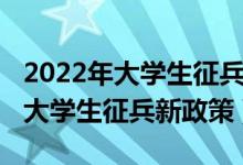 2022年大学生征兵政策解读整理版（2022年大学生征兵新政策）