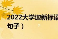 2022大学迎新标语口号（欢迎新同学的优美句子）