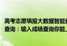 高考志愿填报大数据智能查询系统（2022年高考志愿大数据查询：输入成绩查询你能上的大学）