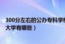 300分左右的公办专科学校（2022年300分左右的公办专科大学有哪些）