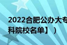 2022合肥公办大专学校有哪些（【教育部专科院校名单】）