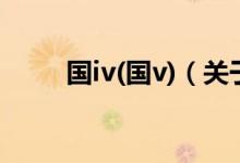 国iv(国v)（关于国iv(国v)的介绍）