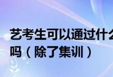 艺考生可以通过什么其他的方式提升一下自己吗（除了集训）