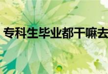 专科生毕业都干嘛去了（最好的出路是什么）