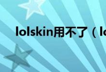 lolskin用不了（lol skin怎么使用方法）