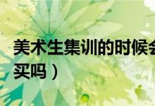 美术生集训的时候会要求使用平板吗（有必要买吗）