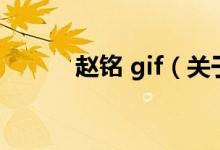 赵铭 gif（关于赵铭 gif的介绍）