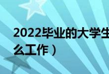 2022毕业的大学生就业方向有什么（能做什么工作）