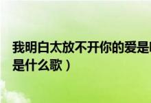 我明白太放不开你的爱是哪一首歌（我明白太放不开你的爱是什么歌）