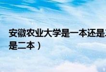 安徽农业大学是一本还是二本学校（安徽农业大学是一本还是二本）