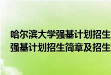 哈尔滨大学强基计划招生简章2021（哈尔滨工业大学2022强基计划招生简章及招生计划）