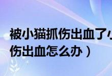 被小猫抓伤出血了小猫没有狂犬病（被小猫抓伤出血怎么办）